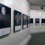Exposition "Sous le jasmin" (c) C. François-Texier